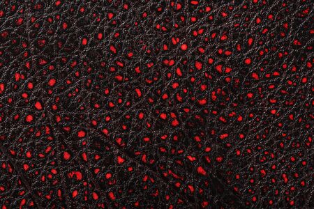 Red - black textured reptile skin, used texture for the background. Lizard or crocodile skin. Freshwater crocodile red bone skin texture background. .Full screen, top viewの写真素材