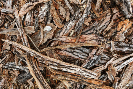 Chips of tree bark on the ground. Sawmill. Ecological background. Full screen closeup