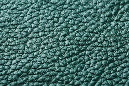 Green textured leather closeup. Full frame, close up. Macro