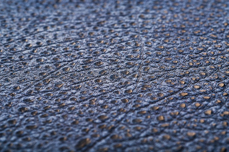 Blue textured leather reptiles, used texture for the background. Lizard or crocodile skin. Full...