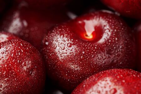Ripe and fresh berries of a sweet cherry with water drops closeup. Cherry in the shape of a heart. Macroの写真素材