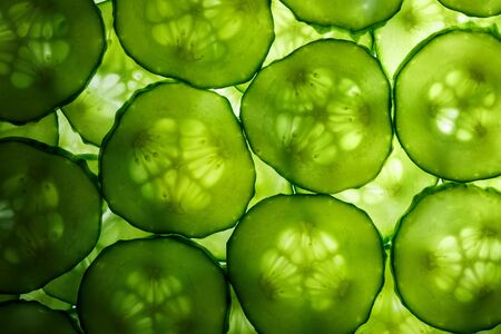 Slices of green fresh cucumber backlit as a textural background. Full screen, close-up, macroの写真素材