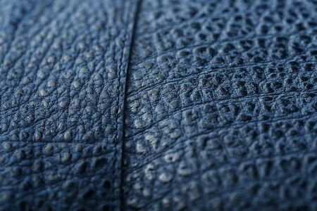 Lock and buckle close-up, elements of a blue backpack made of genuine leather on a dark background, handmade. Macroの写真素材