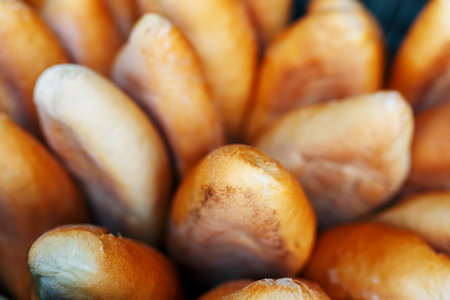 Freshly baked bread is transported and stored in bakery boxes for sale. Food and Product...
