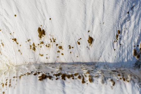 The texture of light calcium carbonate in full screen as a substrate, background. Texture of...