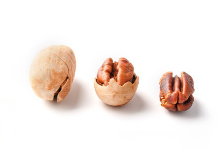 Set of three pecans in the center in a shell, peeled and without a shell isolated on a white...