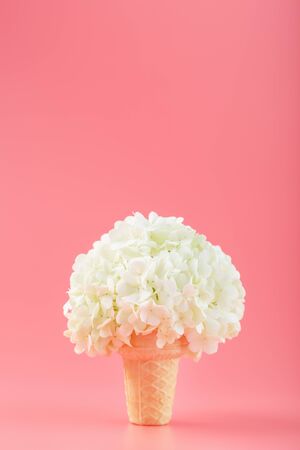 A bouquet of white flowers in an ice cream cone on a pink background. Minimal concept.の写真素材