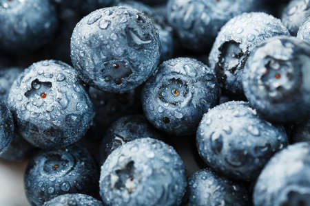 Blueberries close-up in full screen with dew drops.の写真素材