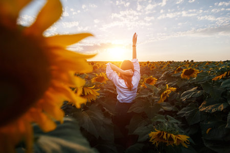 Rear view of a young girl in the middle of a rural area of sunflowers at sunset.
