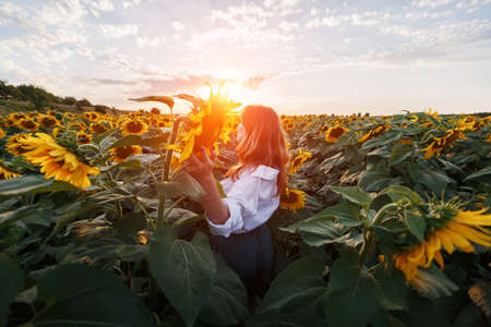 A red-haired girl in a field of sunflowers looks at the sunset.の写真素材
