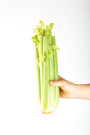 Fresh celery at arm's length. on a white background. Free space. The concept of healthy vegetarian...
