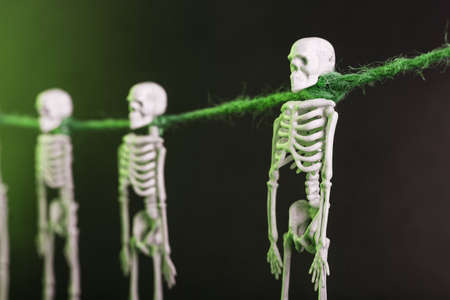 Decorative Skeletons hang on a rope on a gloomy background. Halloween decorationの写真素材