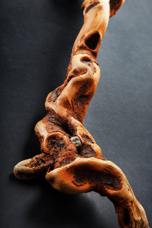 Textured curved Wooden snag of brown color with texture on a black background. Decorative wooden element, close-up, minimalism.の写真素材