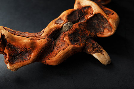 Graceful curved wood Driftwood on a black background