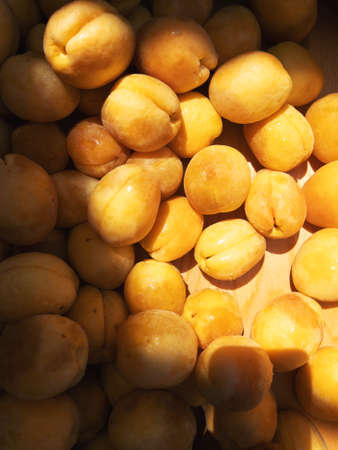 Fresh ripe apricots in plastic boxes at the local farmer marketの写真素材