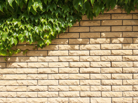 The fence is made of beige textured brick covered with plantsの写真素材
