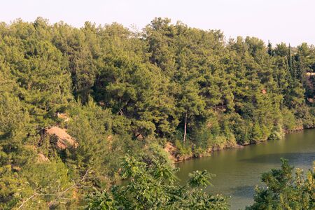 Forest river scenery in Greece Thermi's damの写真素材