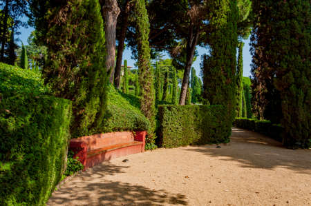 walkway and a bench in the mediterranian park with bright greeneryの写真素材