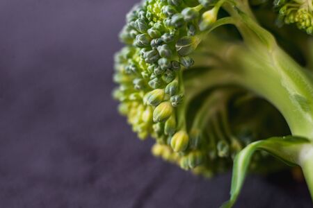fresh healthy broccoli on a dark backgroundの写真素材