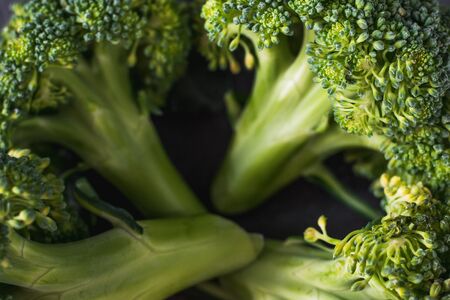 fresh healthy broccoli on a dark backgroundの写真素材