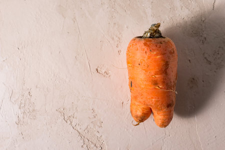 ugly vegetables, carrots on a light background.funny monster carrot The concept of non-waste production in the food industryの写真素材