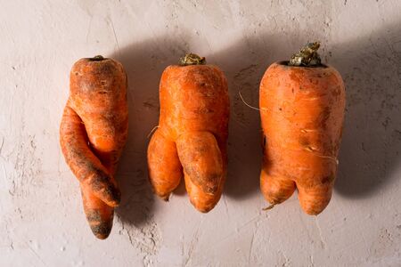 ugly vegetables, carrots on a light background.funny monster carrot The concept of non-waste production in the food industryの写真素材