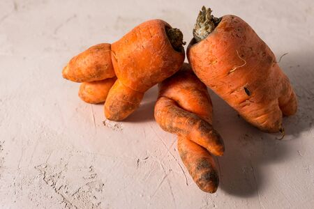 ugly vegetables, carrots on a light background.funny monster carrot The concept of non-waste production in the food industryの写真素材