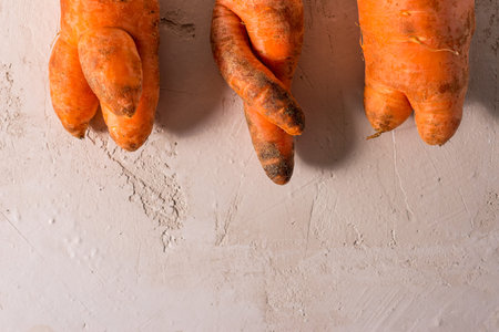 ugly vegetables, carrots on a light background.funny monster carrot The concept of non-waste production in the food industryの写真素材