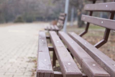 Bench in a park selective focus and perspectiveの写真素材