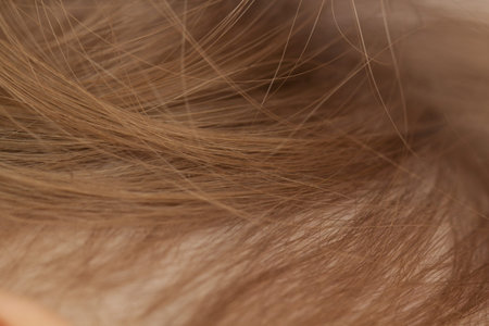 Girl's natural hair macro shotの写真素材