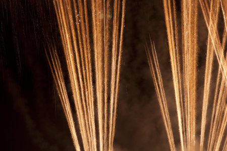 Fireworks at the night. Streams of fire.