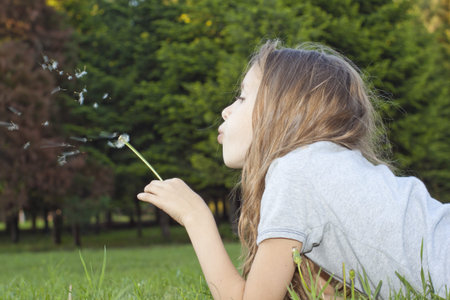 Little girl's playing with dandelion in parkの写真素材