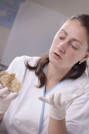 Lab scientist doing research on petri dishの写真素材