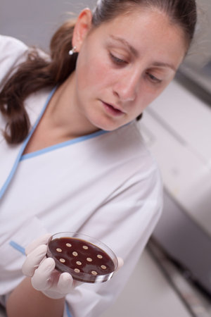 Lab scientist doing research on petri dish
