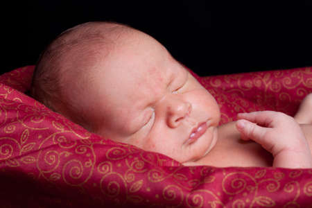 Newborn baby in a basketの写真素材