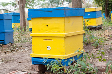 Beehive im rural environment. Late autumn shot.