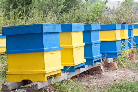 Beehive im rural environment. Late autumn shot.