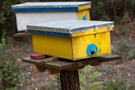 Beehive im rural environment. Late autumn shot.