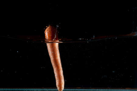 Carrot water splash. High speed photography の写真素材