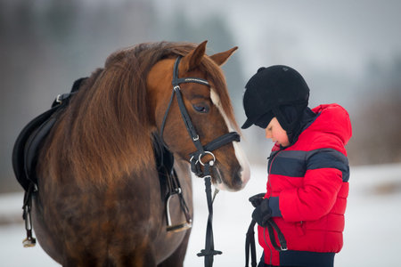 Small boy with a horse in winter - horse ridingの写真素材