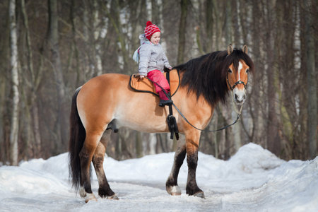 Horseback - child riding a horse. Horse and girl in winter.の写真素材