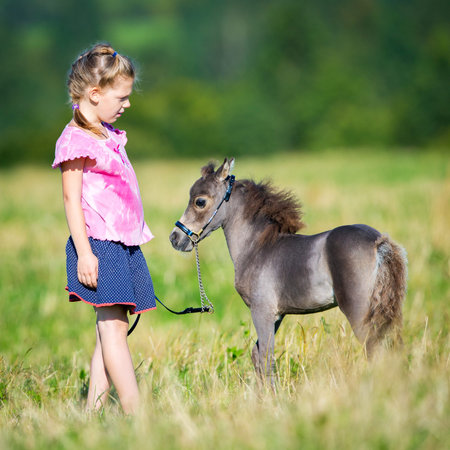Small child with a small miniature horse in field. Girl and foal outdoors. Cute mini horse and child in summertimeの写真素材