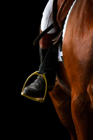 A rider's foot on brown horse looking forward closeup. A woman's horse riding booted foot standing in a gold stirrup of horse saddle isolated on black background.の写真素材