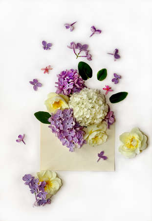 spring flowers in old post envelope on white background. Flat lay, top view. Nature concept.の写真素材