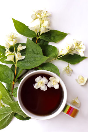 cup of tea with jasmine bunch and flowers. flat lay. top view.の写真素材