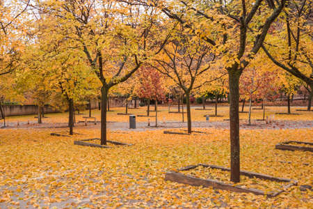 Alhambra cityscapeの写真素材