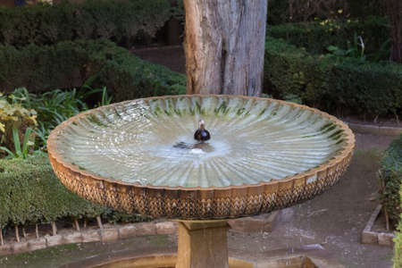 Interior details from Alhambraの写真素材