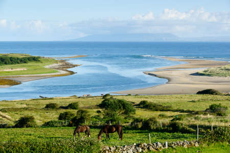 Beautiful landscape with horses in County Sligo, Irelandの写真素材