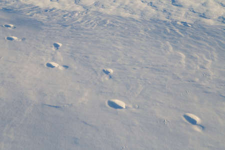Snow background. Snow dunes in a sunny dayの写真素材