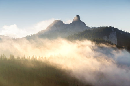 Summer sunrise landscape in Bucovina, Romaniaの写真素材